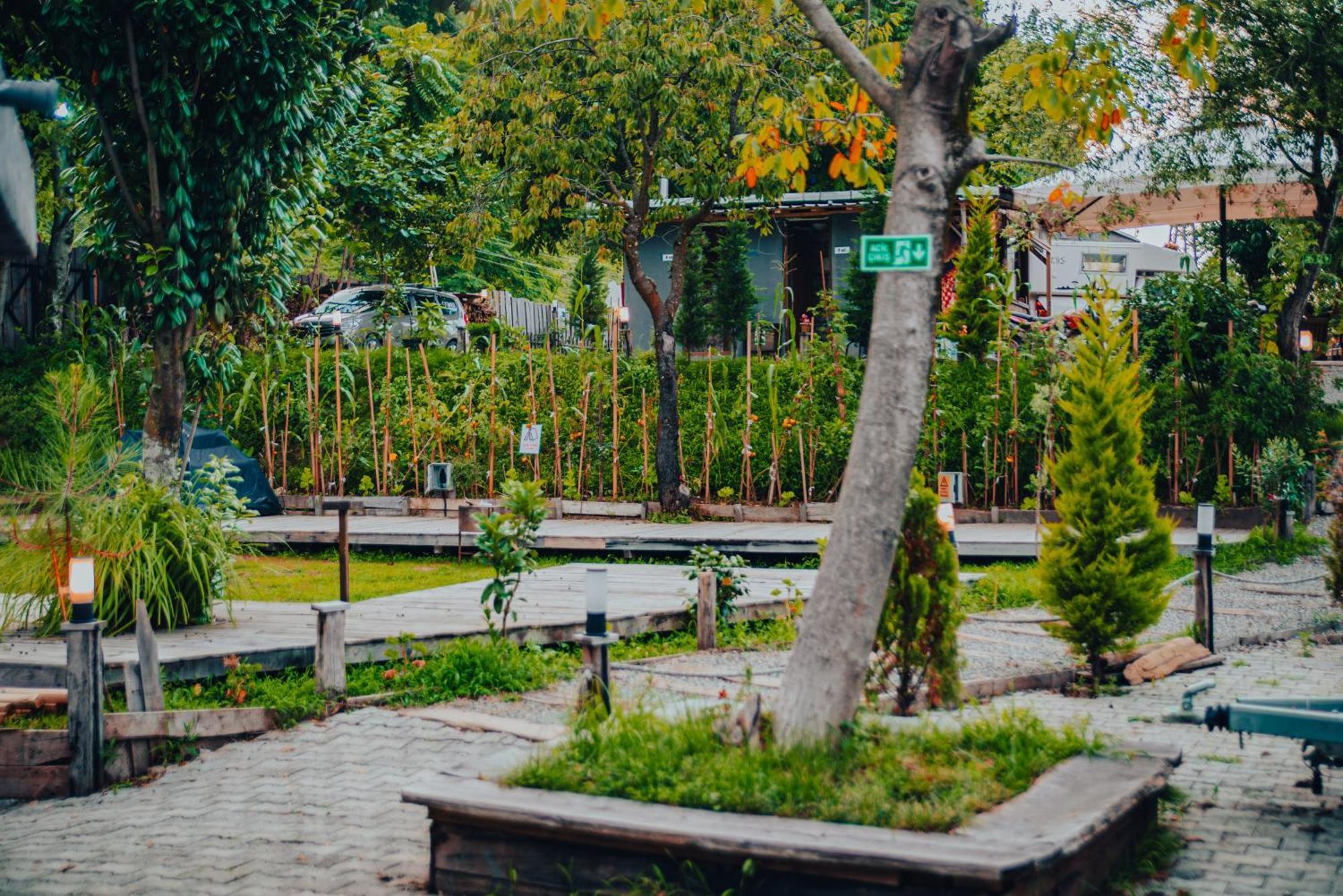 Danzi camping Rize Esterno foto